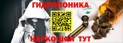 шишки Краснознаменск