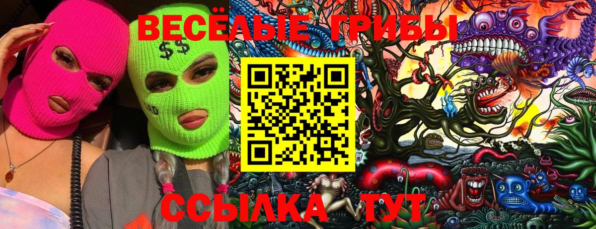 Корсаков  Псилоцибиновые грибы мухоморы  Галлюциногенные грибы Psilocybine cubensis  Вход с VPN 